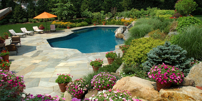 Oasis Pool Landscaping Ideas